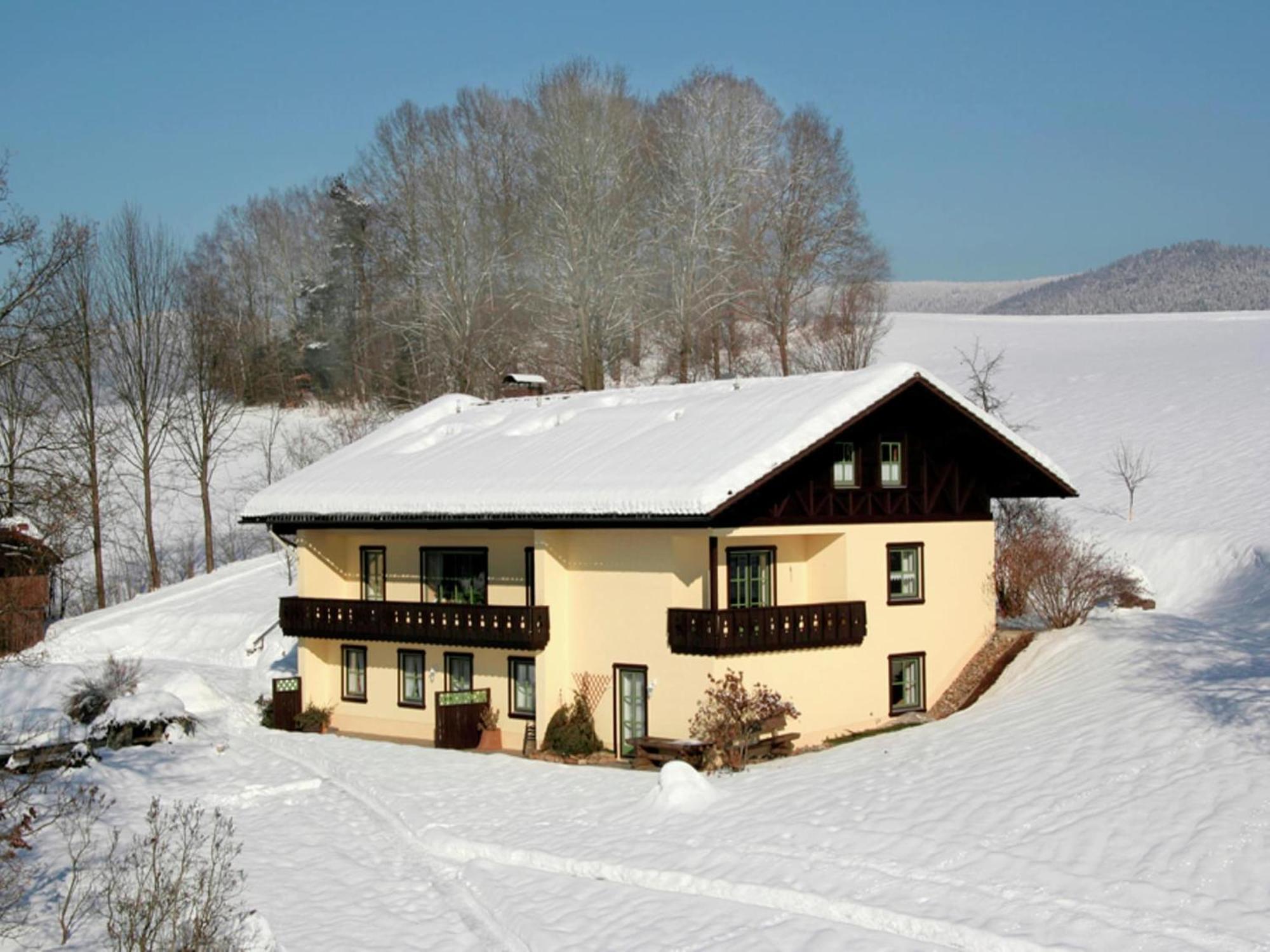 Spacious Apartment With Sauna Drachselsried Exterior foto